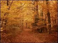 Quel pome de Paul Verlaine commence ainsi 'Les sanglots longs/Des violons' ?