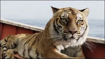 Quel est le nom de ce tigre ?