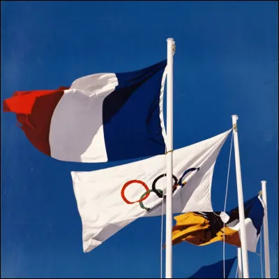 Ce fut la première fois que la France a accueilli les Jeux olympiques d'hiver.