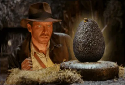 Frigo ou pas frigo ?