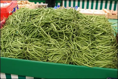 Les haricots verts (si, si, mon p'tit gars : &ccedil;a se mange !) : alors, frigo ou pas frigo ?