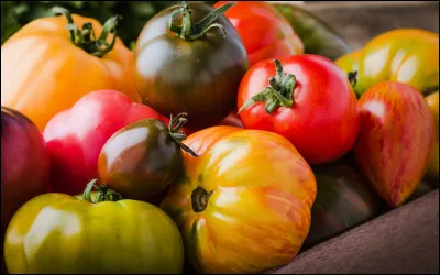 Frigo ou pas frigo ?