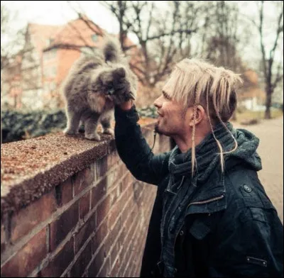 Complétez : 
"Sed in ludo qui..."