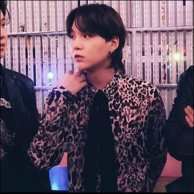 Quel membre a été dépressif plus tôt dans sa vie ?