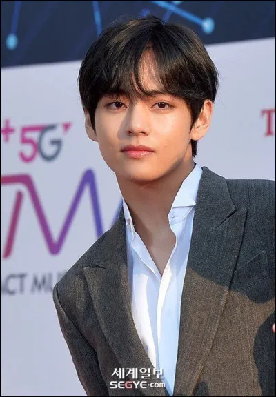 Dans quelle Kdrama a joué Kim Taehyung (V) ?