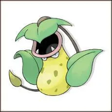 Quel est le nom de ce pokemon ?