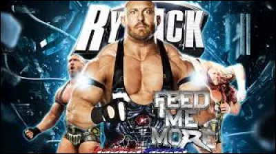 Quel est le finisher de Ryback ?