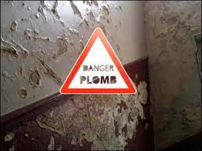 Santé - Quel est le nom de la maladie qui est dû à une intoxication chronique ou aiguë par le plomb ?