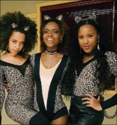 Qui n'a jamais fait partie des Pussycats ?