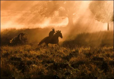 En quel animal Diaval n'a-t-il jamais été transformé ?