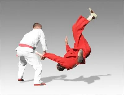 Parmi ces disciplines, laquelle n'est pas un sport de combat ?