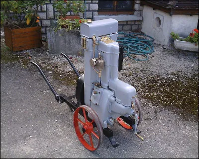 Dans le Roman de Renart, quel est le nom de l'âne ?