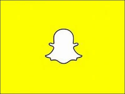 Quelle est l'application représentée sur cette image ?