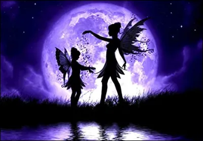 Aucune princesse Disney nest une fée.