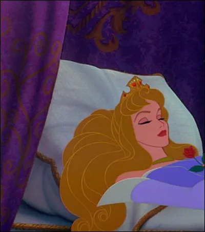 Aurore est la princesse la plus silencieuse, elle n'a en tout que 18 répliques.