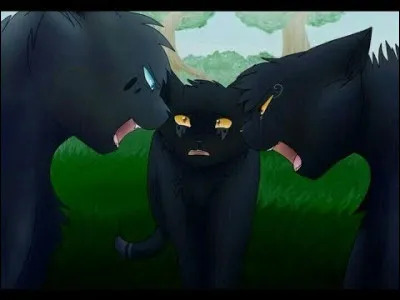 Ton frère et ta sur s'embrouillent de plus en plus souvent.