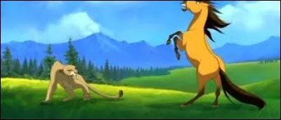 À quel espèce appartient l'animal qui se bat avec Spirit au début du film ?