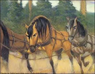À ce passage du film que doivent tirer les pauvres chevaux ?