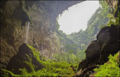 Nous terminons ce périple par une forêt "grottesque" (oui, dans une grotte, d'où les deux "t" !) de 9 km : découverte seulement en 2009, on lui a donné un nom (grotesque) de fromage...