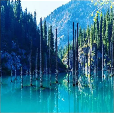 Des montagnes Tian, le lac Kaindy sest formé en 1911 suite à tremblement de terre et à submergé un forêt d'épicéas. Dans cette région s(h)ismique, on peut dire que le ...