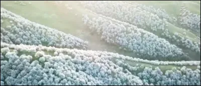 En Chine, près du village de Tuergen (Xinjiang), proche de la frontière du Kazakhstan... Que croyez-vous voir ?