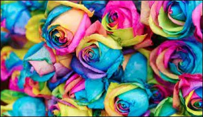 Tu préfères quelle couleur ?