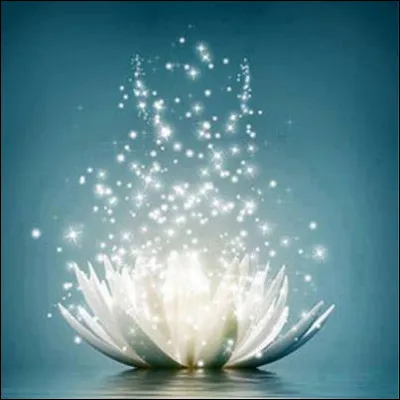 Quel est ton principal défaut ?