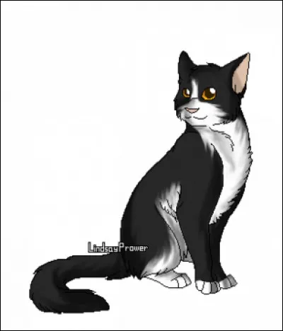 Qui était chef avant Étoile Bleue ?