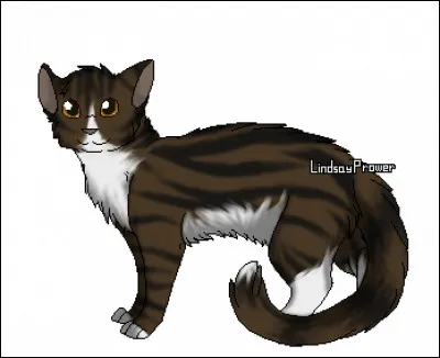 Qui a été le premier lieutenant d'Étoile de Feu ?