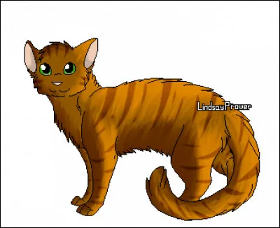 Dans quel tome meurt Étoile de Feu ?