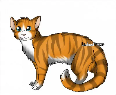 Qui a tué Étoile du Tigre ?