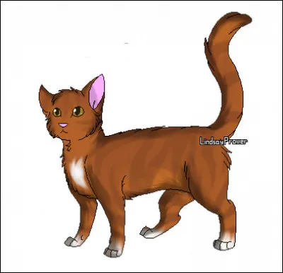 Comment est morte Étoile du Léopard ?