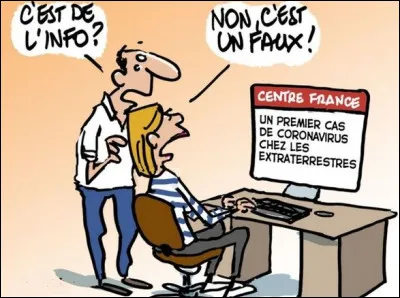 Faux profils ou faux documents, sur internet :