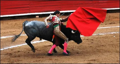 En tauromachie, ensemble des passes exécutées avec la muleta (le tissu rouge) :