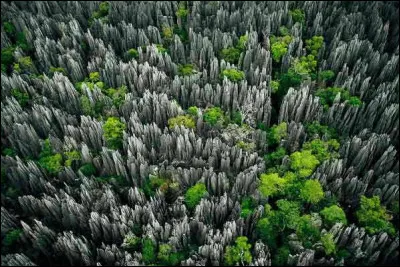 Ici, vous pénétrez dans une "réserve naturelle intégrale" : qu'est-ce à dire que cela ?