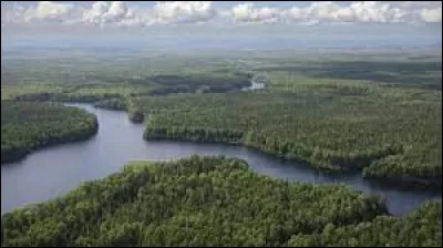 Quelle aurore ! Peuplée d'ours et de loups, cette forêt canadienne porte un nom presque révolutionnaire : c'est la forêt ...
