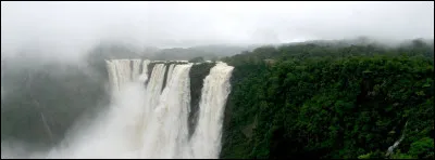 Ne voilà-t-il pas qu'ils nous mettent des chûtes d'eau en plein forêt, maintenant ! C'est vrai qu'il paraît qu'en/au ..., ils ne sont pas toujours très bien organisés sur ce fleuve ...