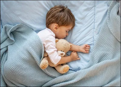 "Dormir comme une marmotte" signifie :