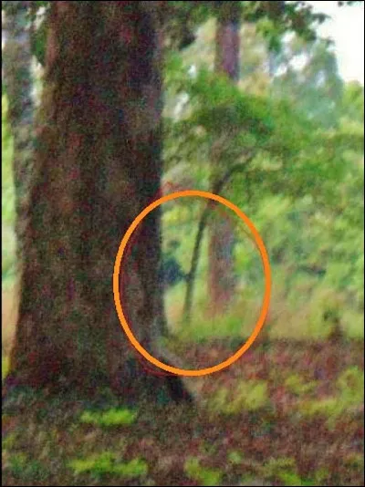 Là ! Comme ça, vous ne pourrez plus dire qu'on ne raconte que des foutaises dans les quiz : voici une vraie photo de fantôme sur le site de la bataille de ...