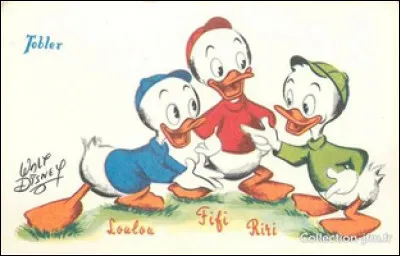 Qui sont les neveux de Bellatrix Lestrange ?