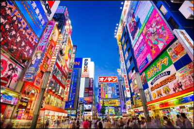 Quelle est cette ville, capitale du Japon, coeur économique et politique du pays ?