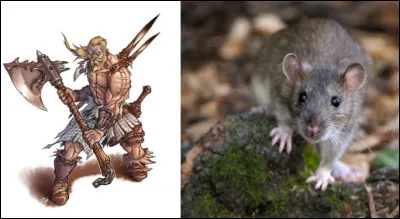 Quelle chanteuse se cache derrière ce rébus ?