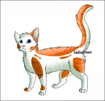 Quel est le 2e prénom de Demi-Queue ?