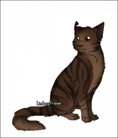 Étoile du Tigre a un pouvoir : lequel ?