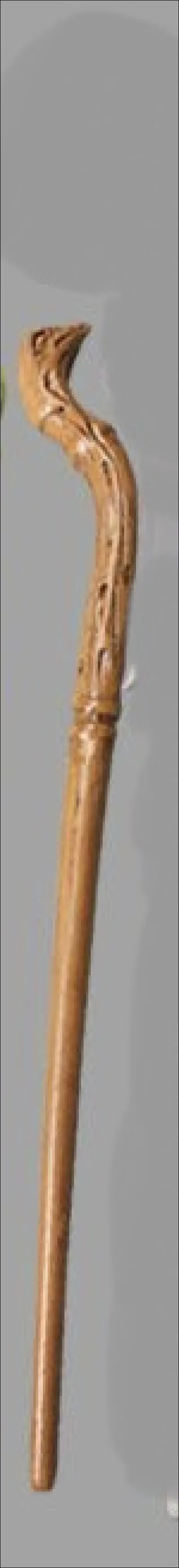 À qui appartient cette baguette ?