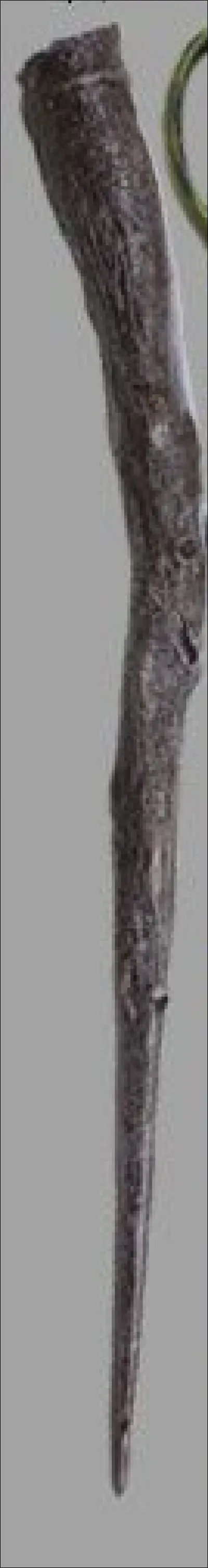 À qui appartient cette baguette ?