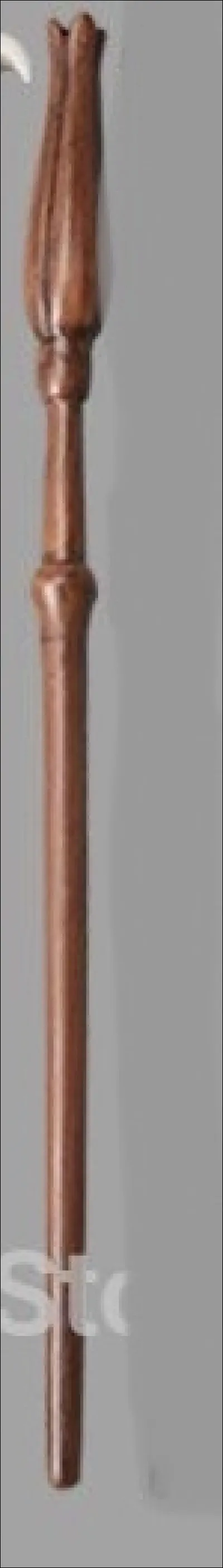 À qui appartient cette baguette ?