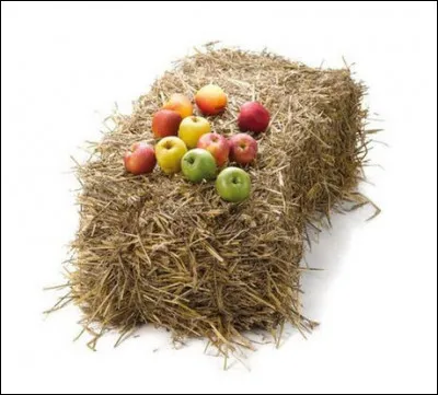 Récréation digestive > Quel plat me faites-vous ?