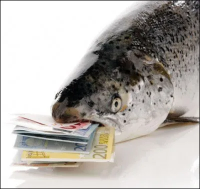 Récréation digestive (2) > Quel plat me faites-vous ?