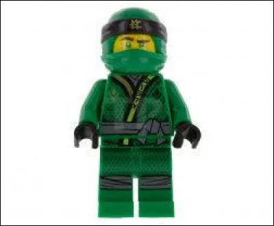 Comment s'appelle le ninja vert ?